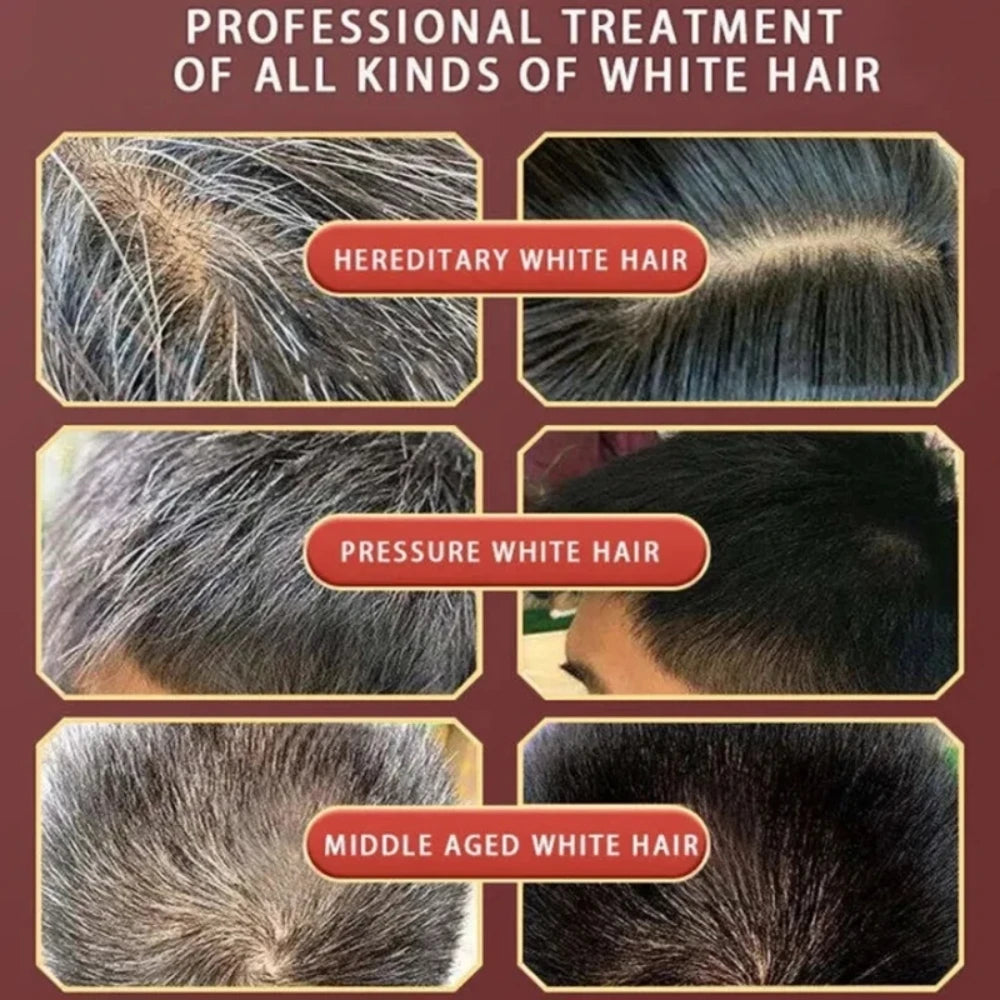 Herbal Hair Dye Shampoo – 5-Minute Gray Cover