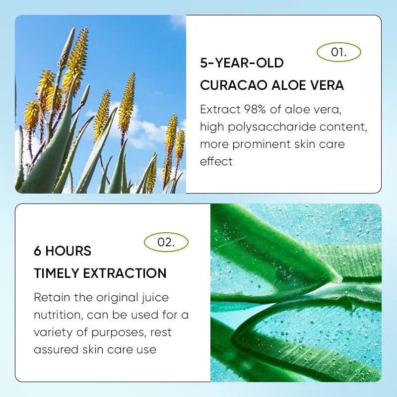 SADOER Aloe Lip Balm – Nourishing & Repairing Care